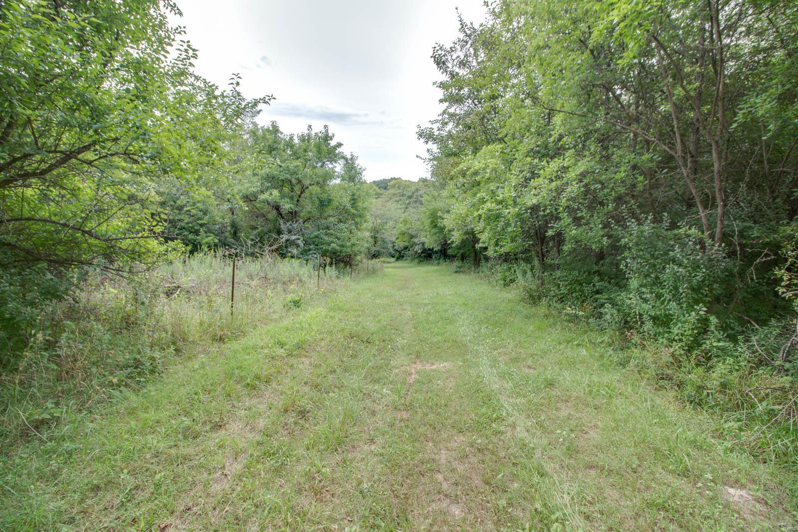 10461 Bounds Road Shipman, IL 62685 - Photo 31 of 46