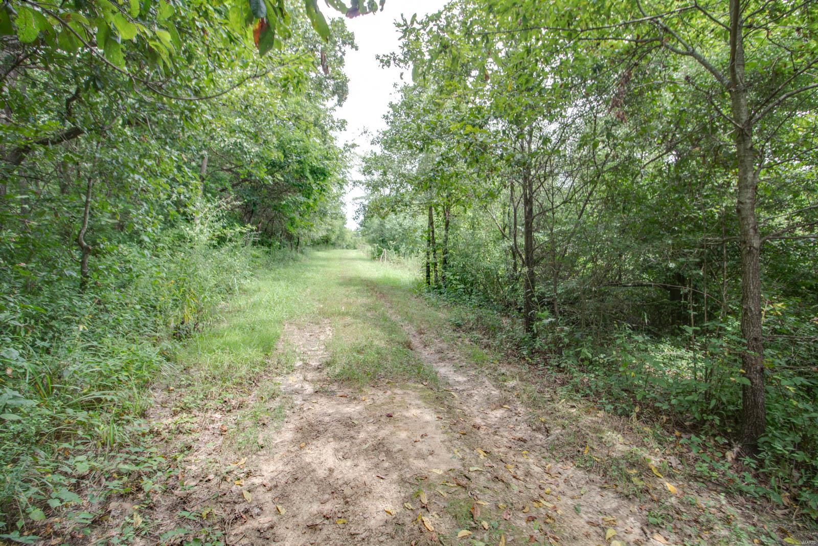 10461 Bounds Road Shipman, IL 62685 - Photo 33 of 46