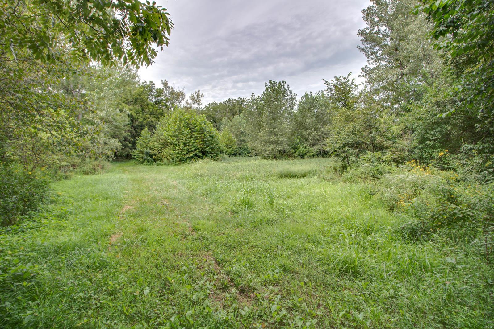 10461 Bounds Road Shipman, IL 62685 - Photo 34 of 46