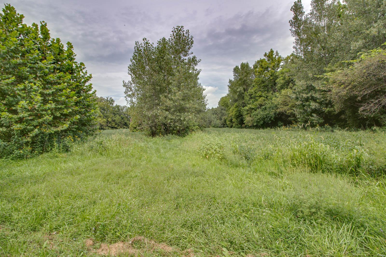 10461 Bounds Road Shipman, IL 62685 - Photo 35 of 46