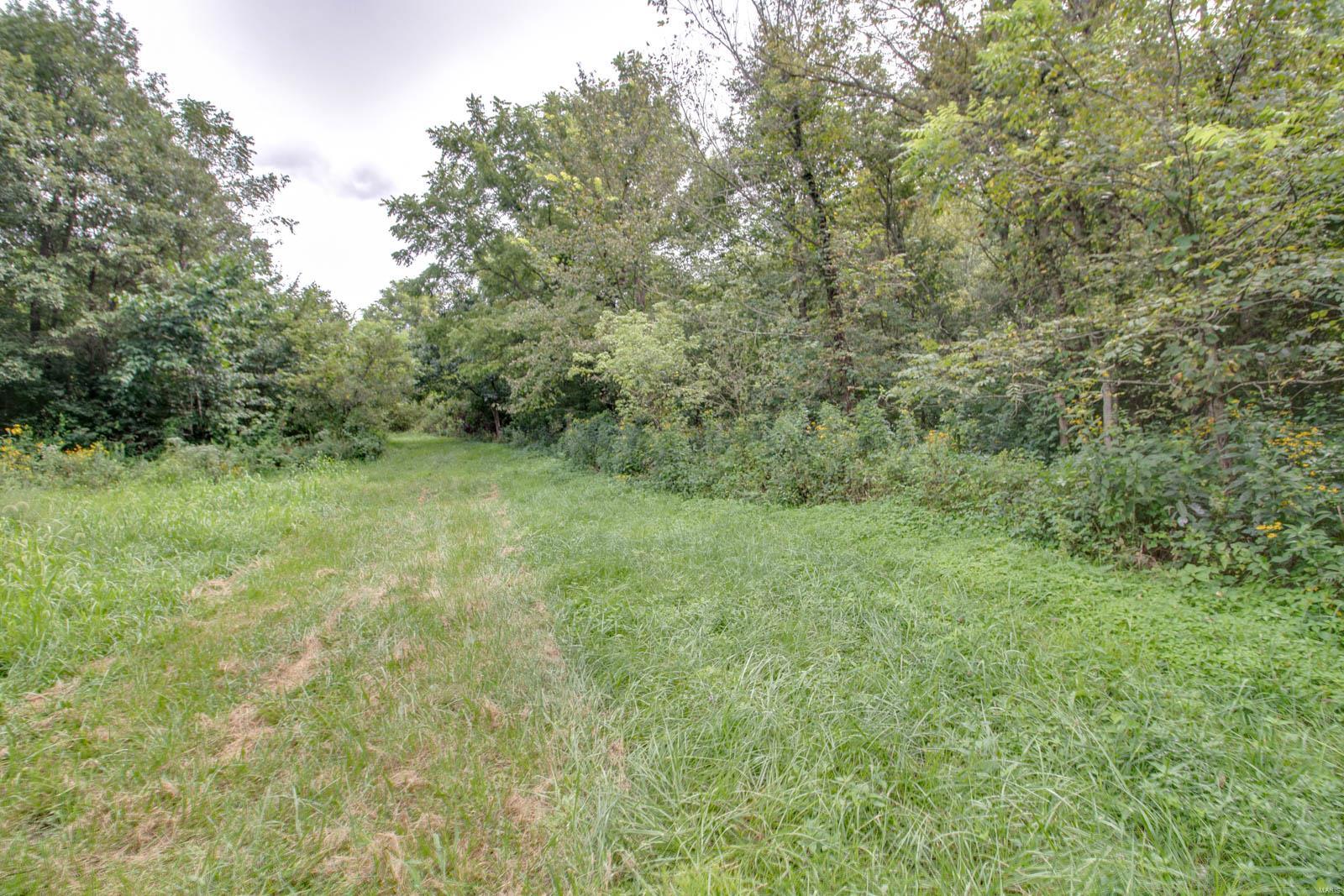 10461 Bounds Road Shipman, IL 62685 - Photo 36 of 46