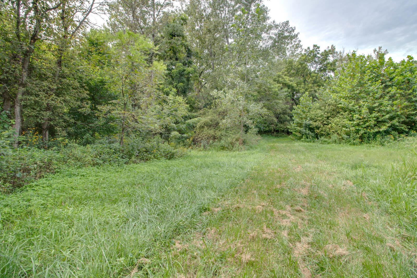 10461 Bounds Road Shipman, IL 62685 - Photo 39 of 46
