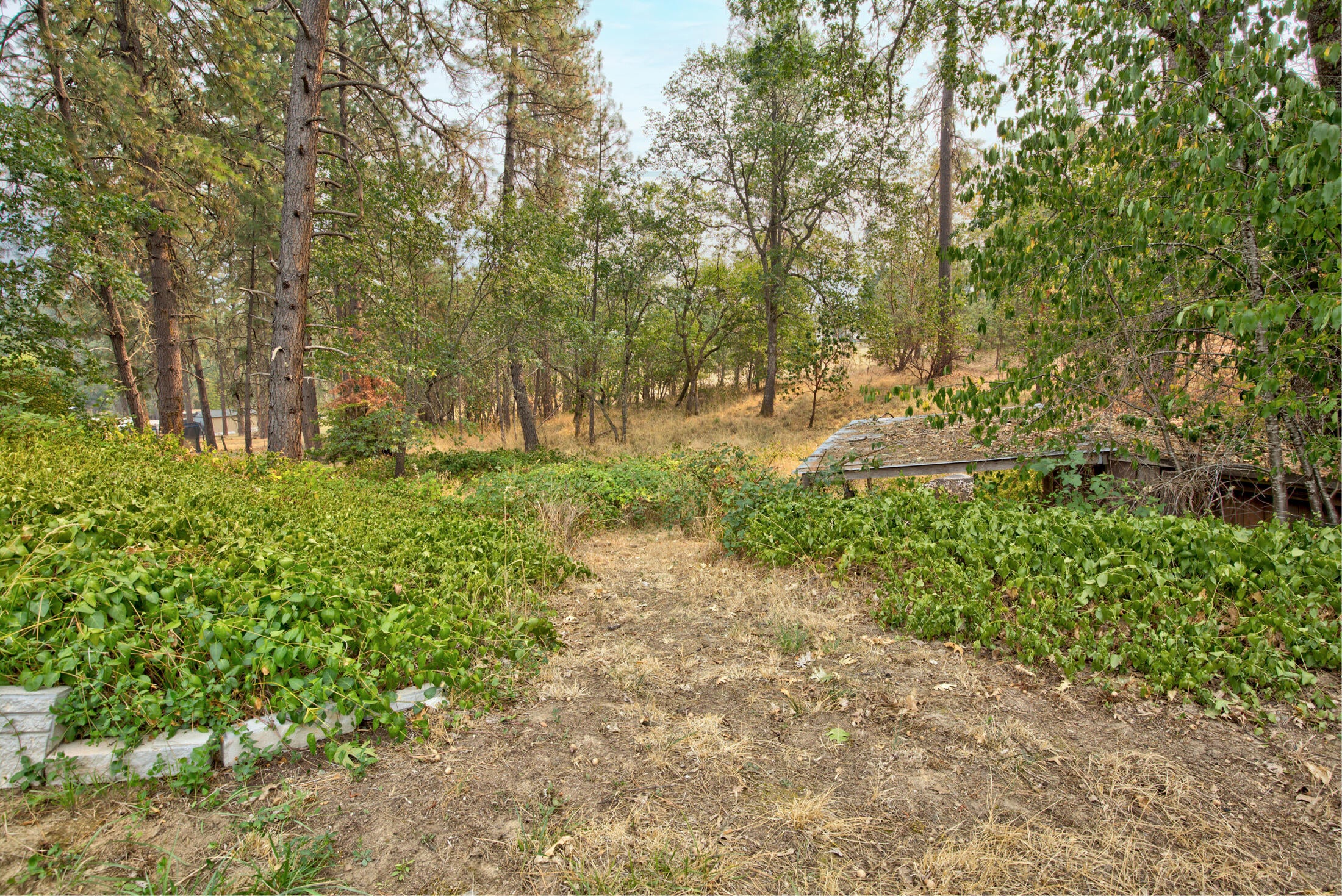 483 Crestview Loop Grants Pass, OR 97527 - Photo 22 of 25 125A1248_49_50_51_52