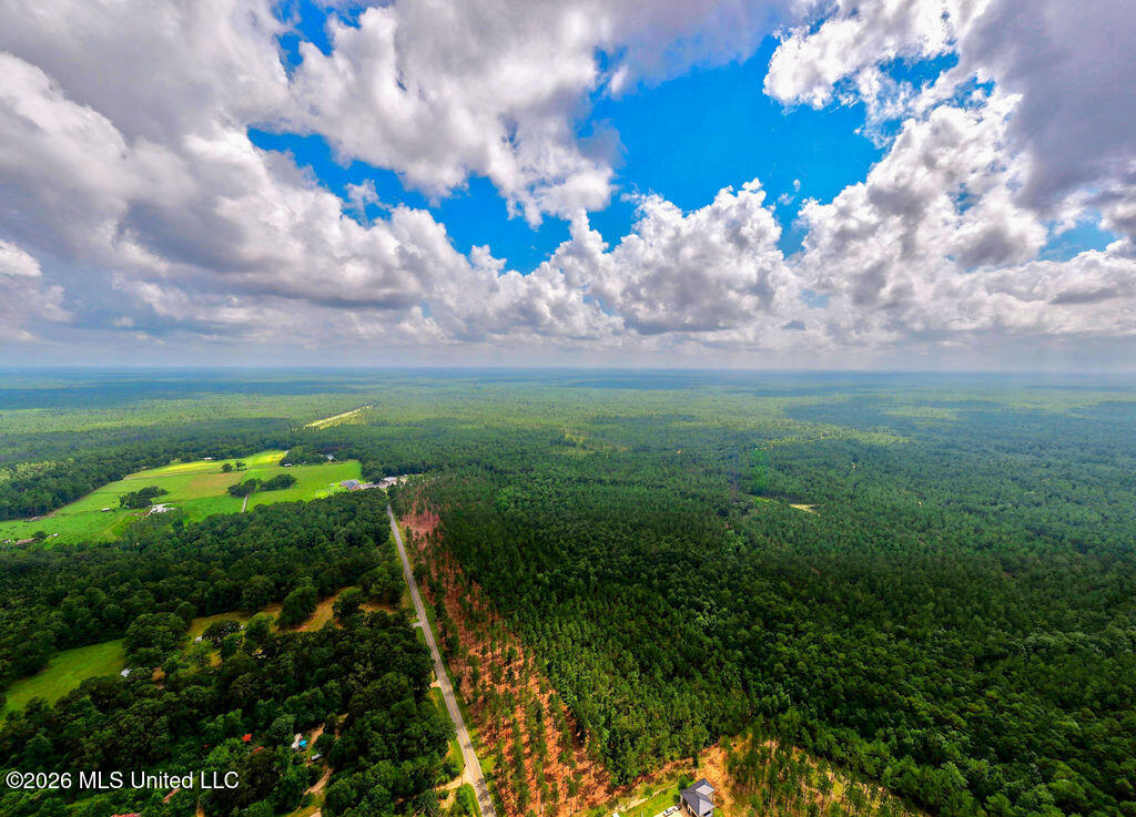Nhn Lot 2 Nhn Road Saucier, MS 39574 - Photo 58 of 87 HiddenCreekEstatesNoLines-15
