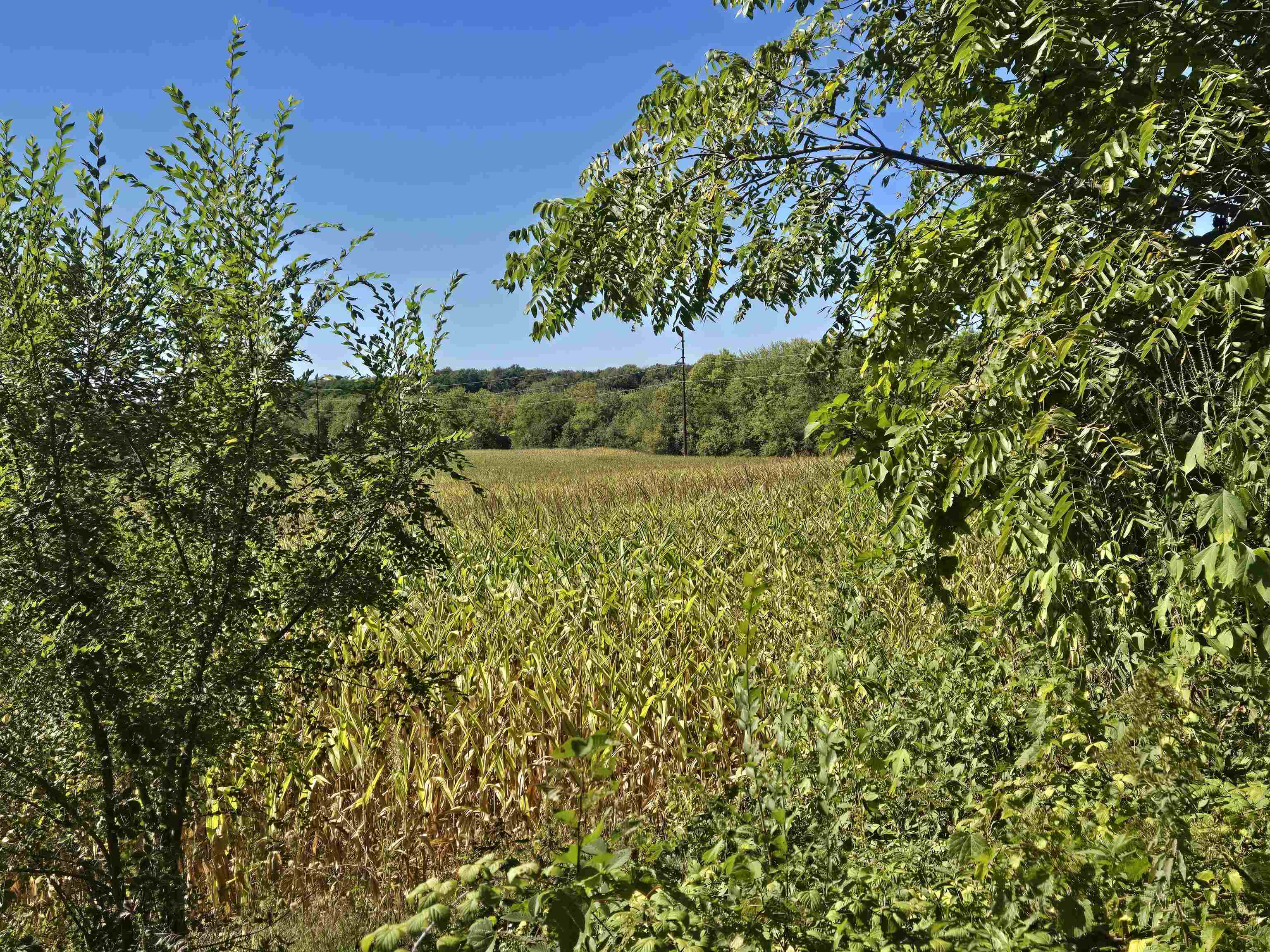 18.26-ac Highway 78 Merrimac, WI 53561 - Photo 25 of 27