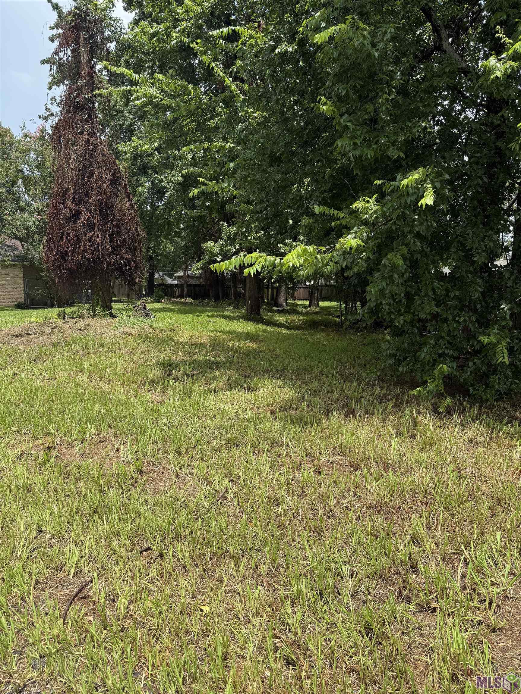 8455 Kensington Drive Baton Rouge, LA 70809 - Photo 5 of 6