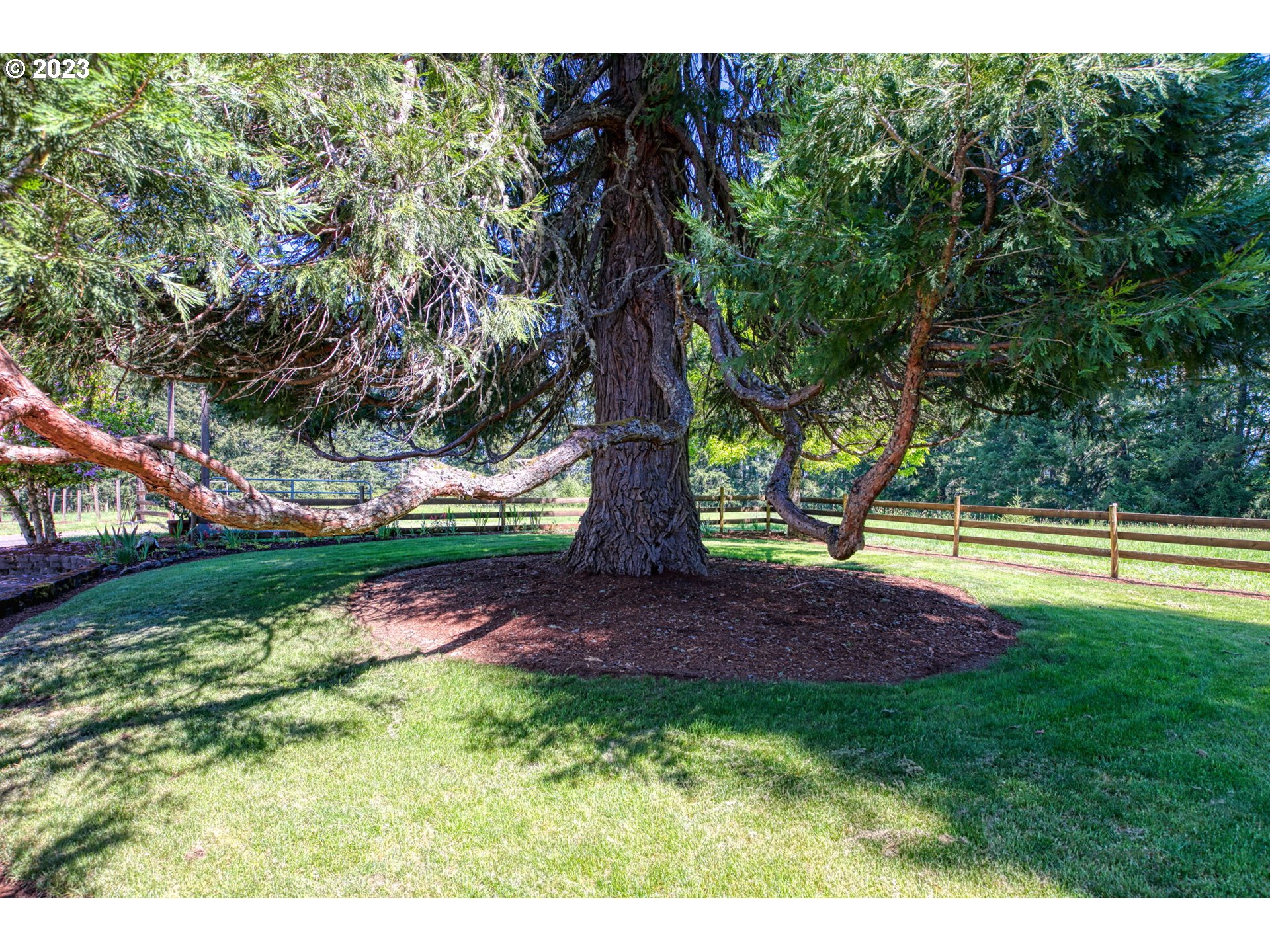 77914 Chisholm Trail Road Cottage Grove, OR 97424 - Photo 40 of 41 a view of backyard with swimming pool and outdoor seating
