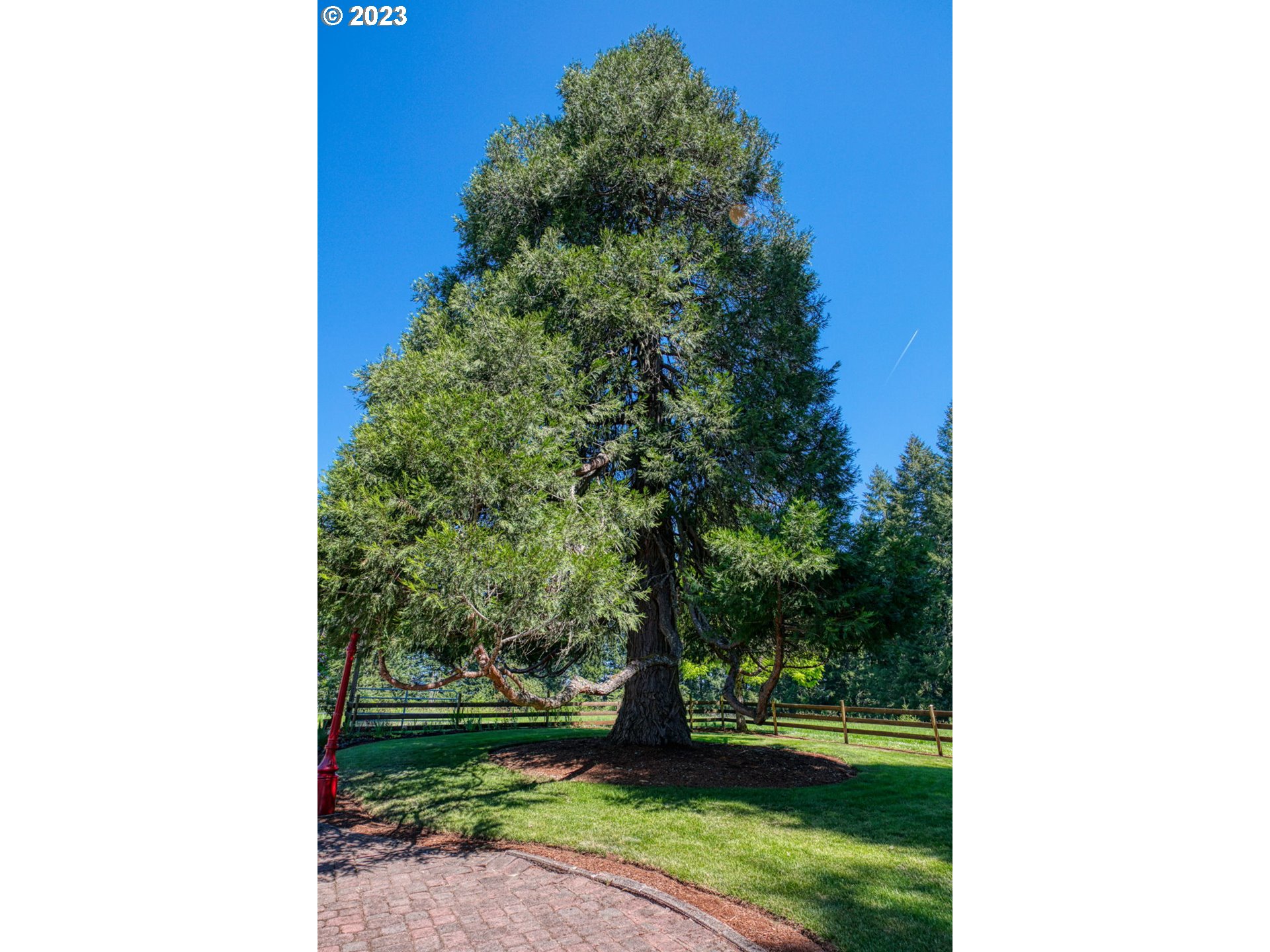 77914 Chisholm Trail Road Cottage Grove, OR 97424 - Photo 41 of 41 a view of a yard in front of the house