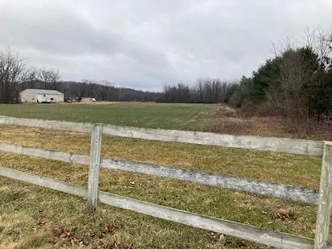 a view of a large body of water with lots of trees in the background