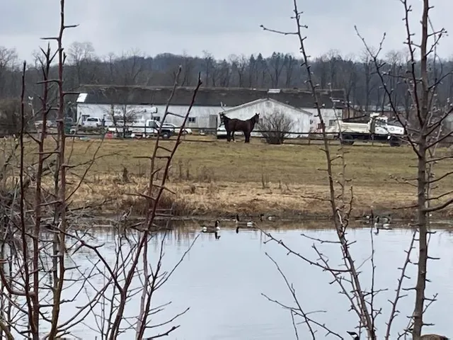 a view of a houses of trees