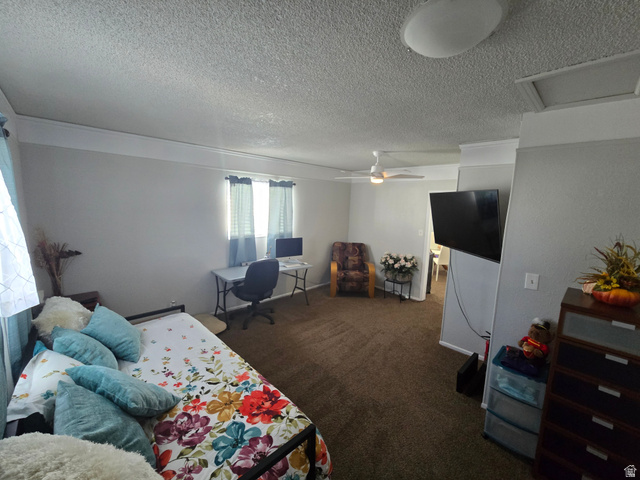 250 West 200 N Street Beaver, UT 84713 - Photo 6 of 63