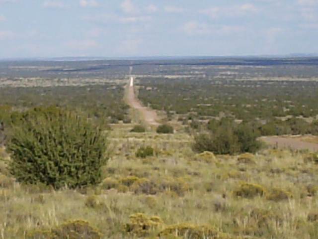 17 Sec 35 T18n R28e St. Johns, AZ 85936 - Photo 2 of 5