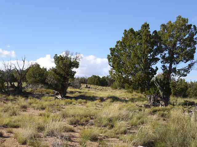 17 Sec 35 T18n R28e St. Johns, AZ 85936 - Photo 3 of 5