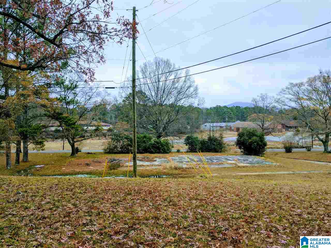 Baltzell Gate Road, Unit 1 45 Anniston, AL 36205 - Photo 4 of 19