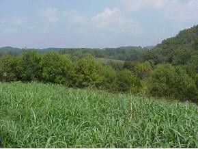 0 West Old Midway Road Midway, TN 37809 - Photo 1 of 8 Photo 1