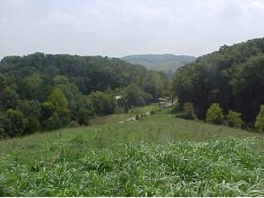 0 West Old Midway Road Midway, TN 37809 - Photo 2 of 8 Photo 2