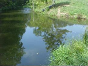 0 West Old Midway Road Midway, TN 37809 - Photo 4 of 8 Photo 4