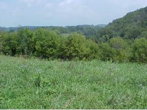 0 West Old Midway Road Midway, TN 37809 - Photo 6 of 8 Photo 6
