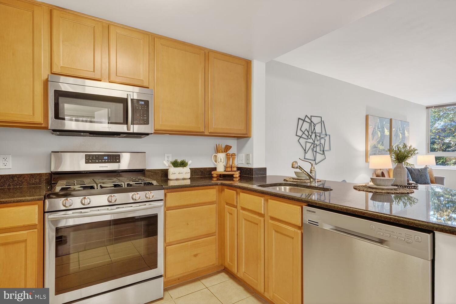 355 I Street Southwest, Unit 121 Washington, DC 20024 - Photo 6 of 26 Stainless appliances