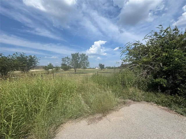 a view of a lake from a yard