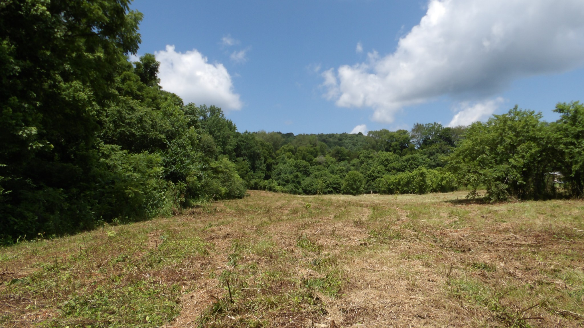 0 Lonnie Reecer Road Celina, TN 38551 - Photo 25 of 44