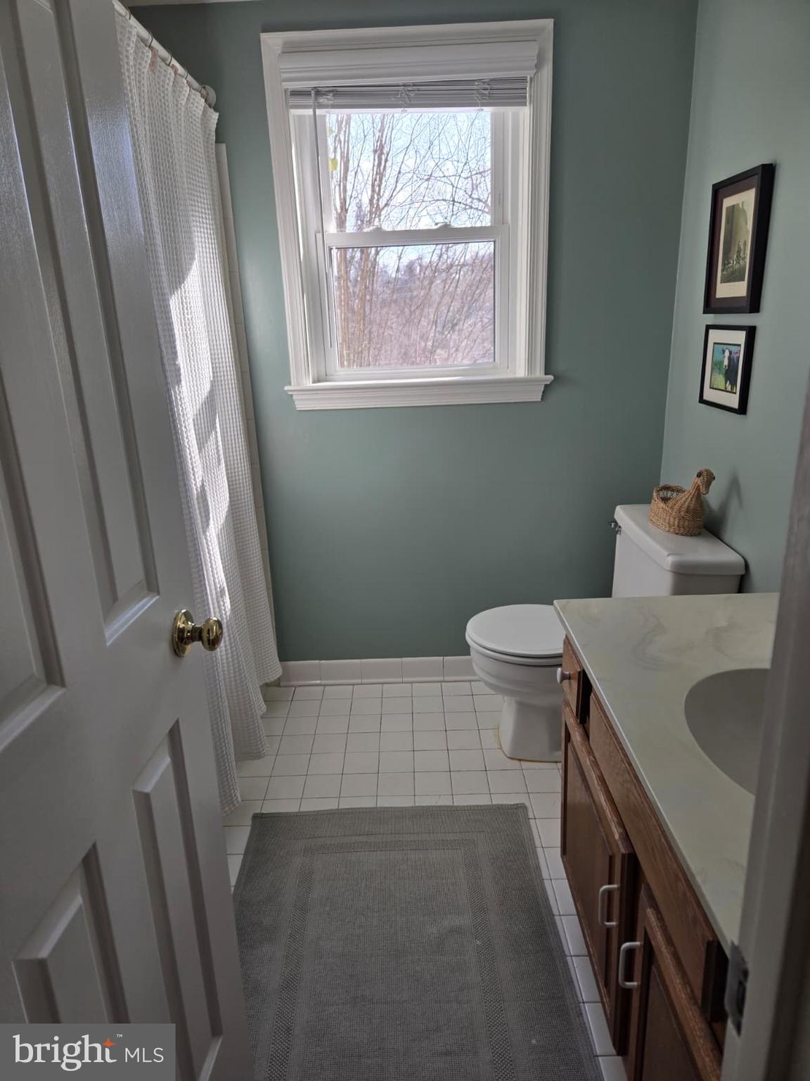 4416 Lingan Road Northwest Washington, DC 20007 - Photo 16 of 59 a bathroom with a sink and a toilet