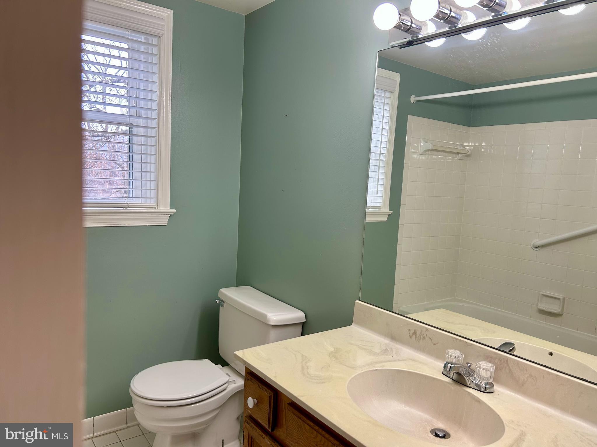 4416 Lingan Road Northwest Washington, DC 20007 - Photo 17 of 59 a bathroom with a sink toilet and a mirror