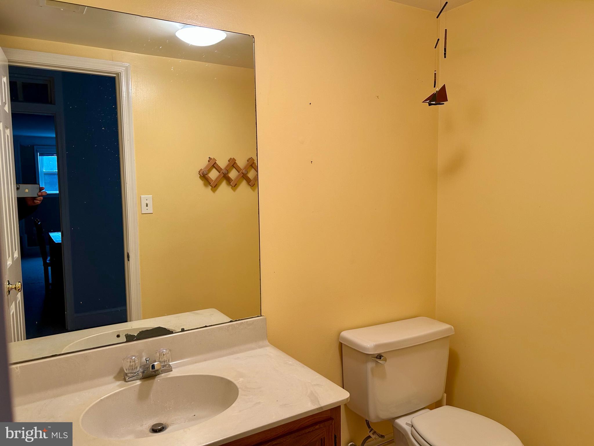 4416 Lingan Road Northwest Washington, DC 20007 - Photo 52 of 59 a bathroom with a sink a toilet and shower