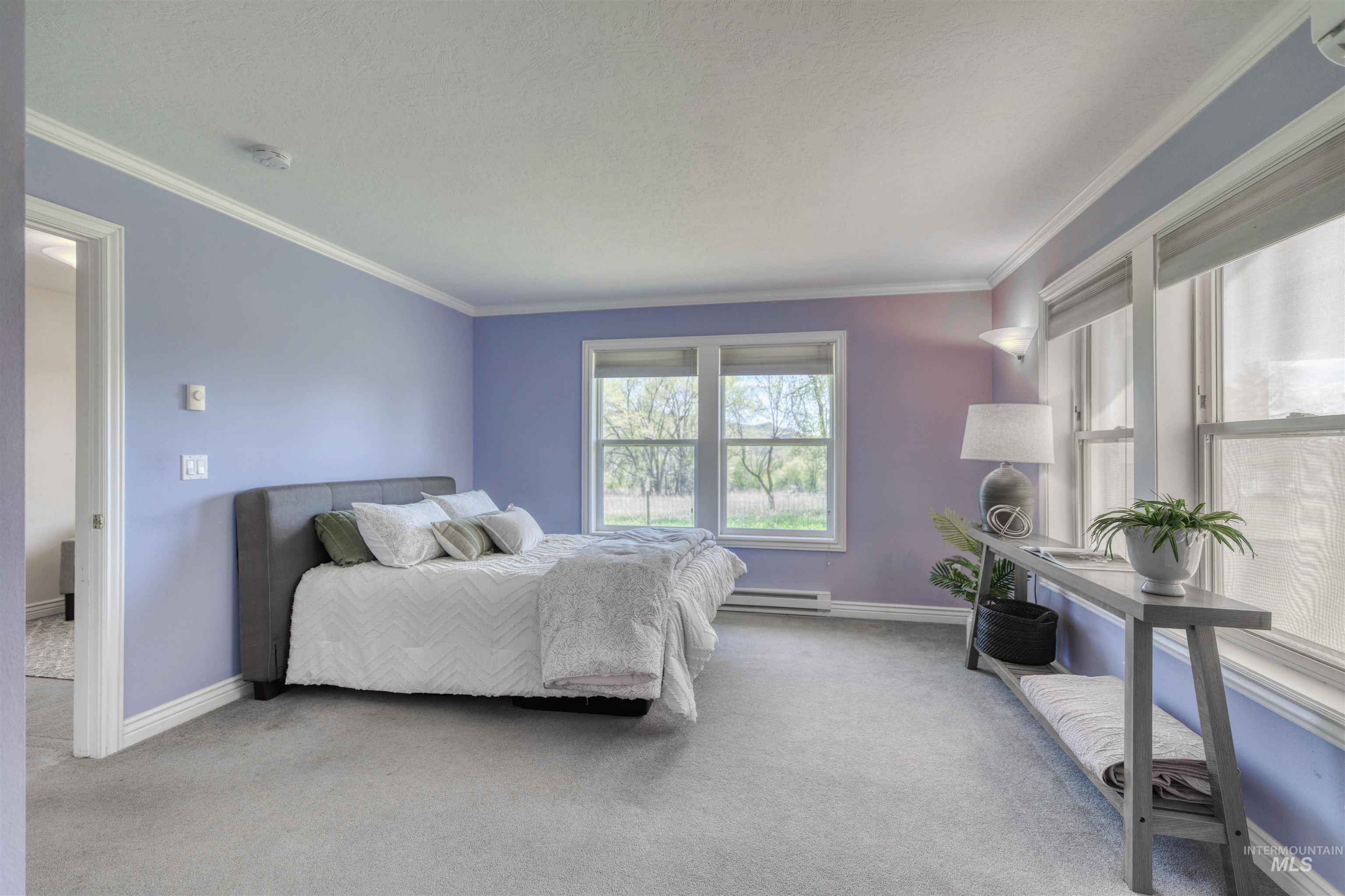 1295 15th Street Vale, OR 97918 - Photo 24 of 50 Bedroom featuring crown molding, carpet flooring, a baseboard radiator, and a textured ceiling
