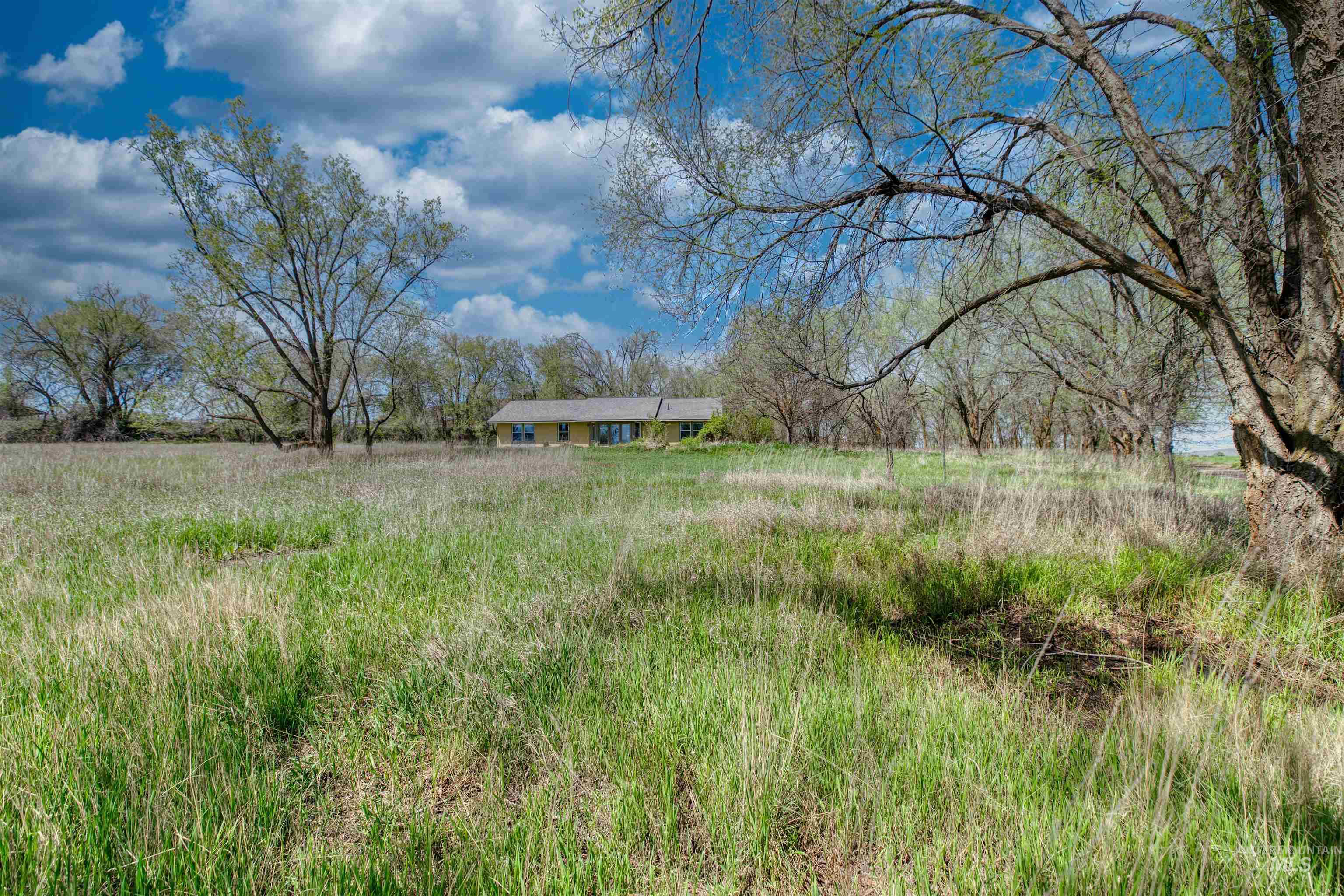 1295 15th Street Vale, OR 97918 - Photo 31 of 50 View of yard featuring a rural view