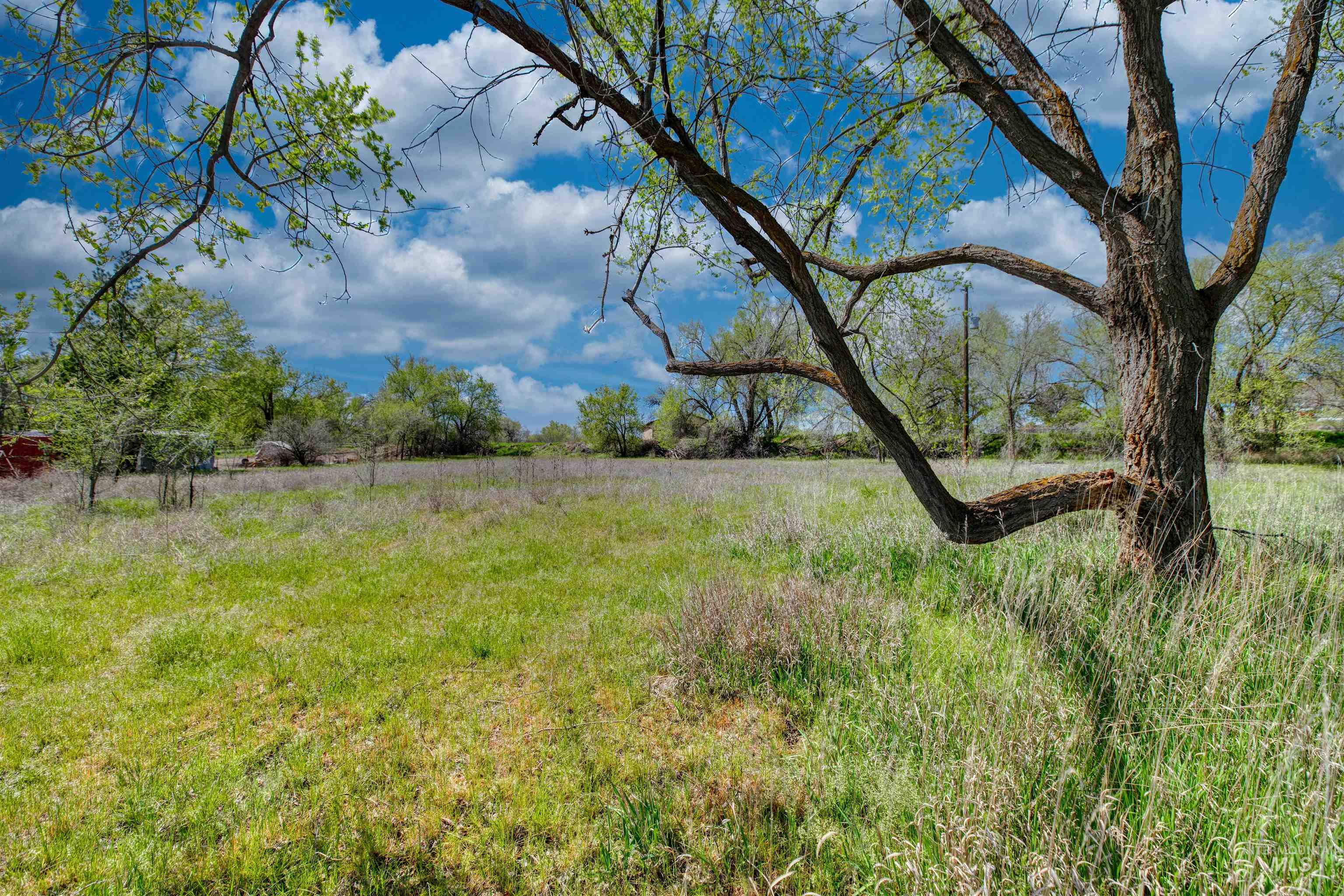 1295 15th Street Vale, OR 97918 - Photo 35 of 50 View of yard with a view of countryside