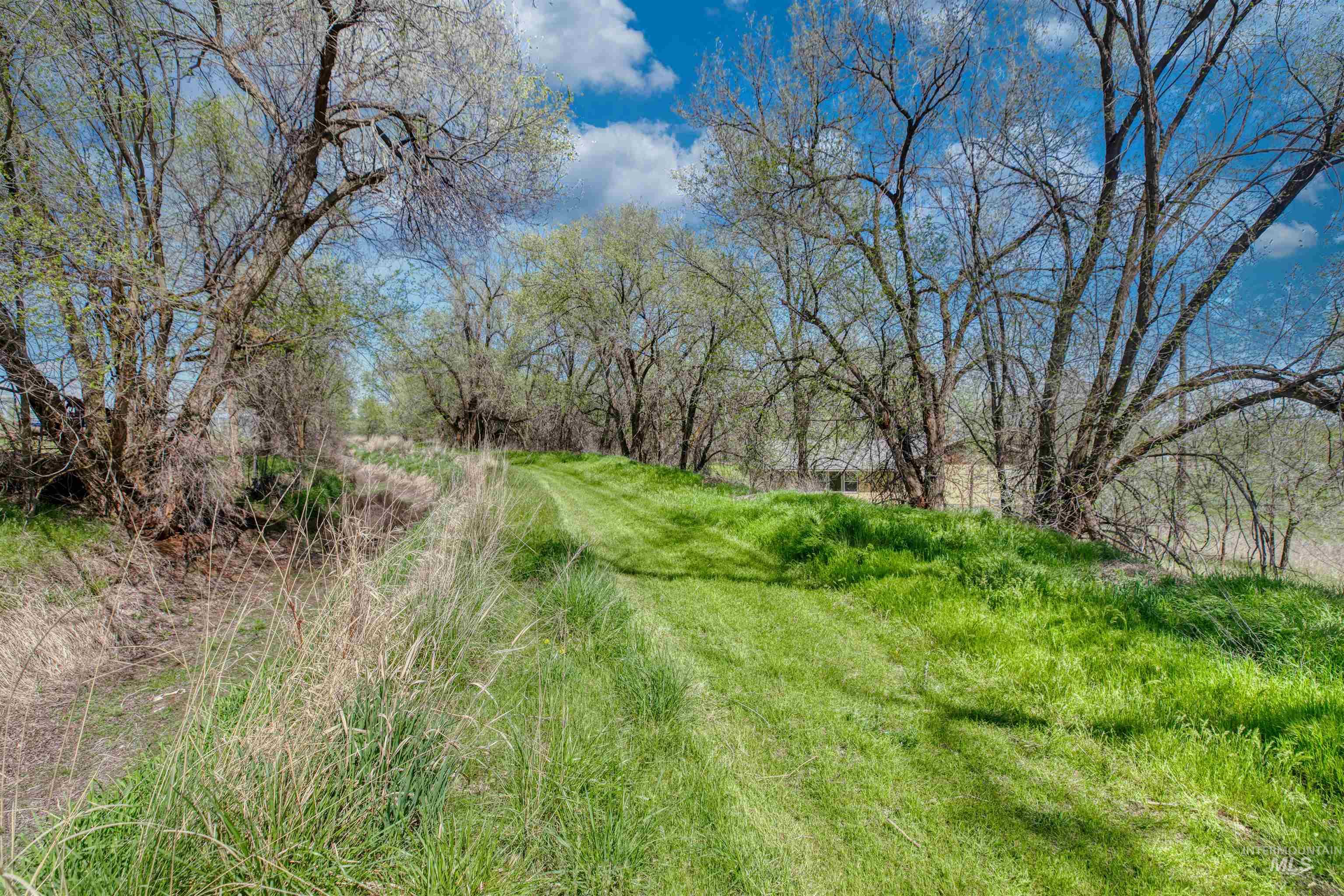 1295 15th Street Vale, OR 97918 - Photo 39 of 50 View of yard