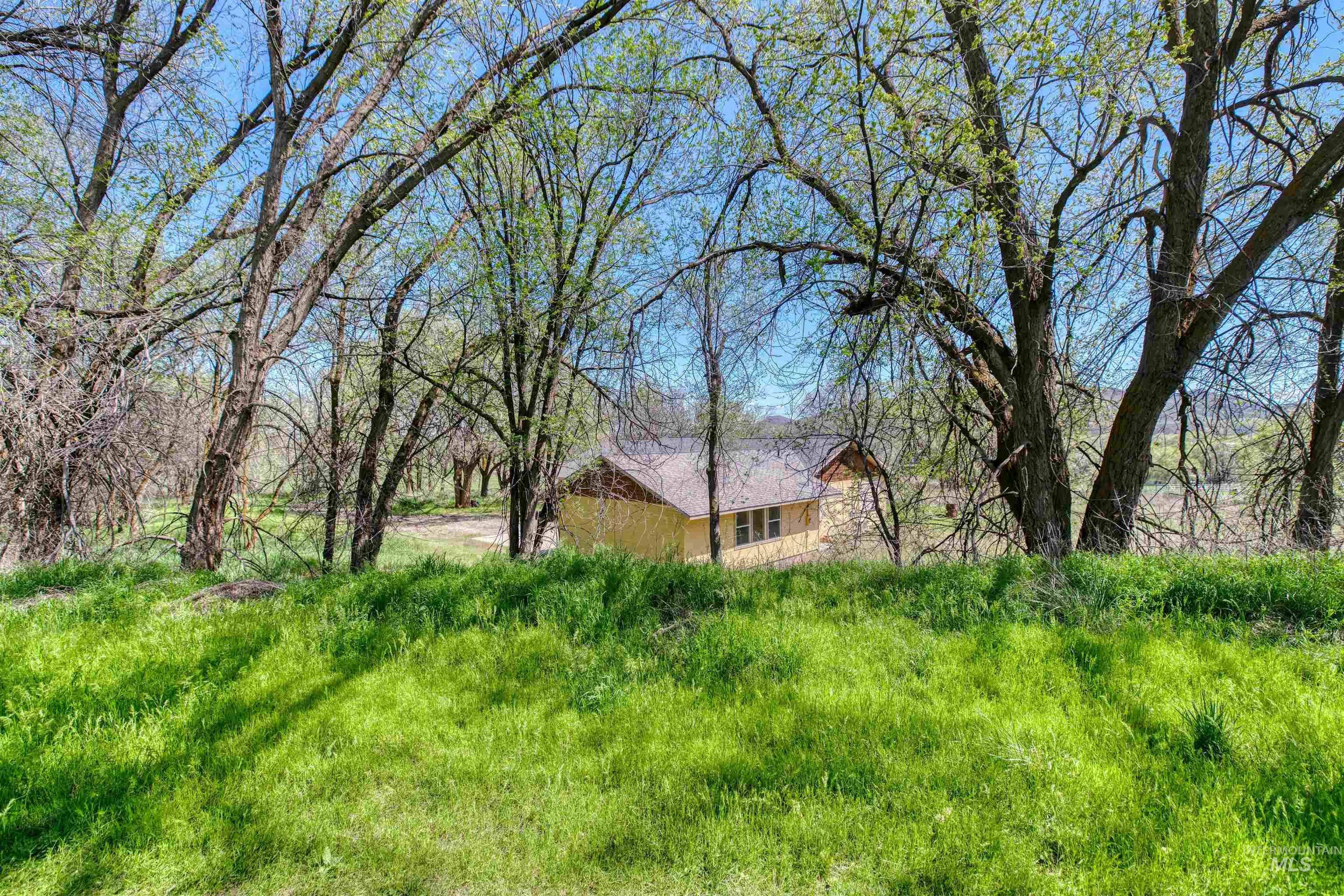 1295 15th Street Vale, OR 97918 - Photo 40 of 50 View of yard