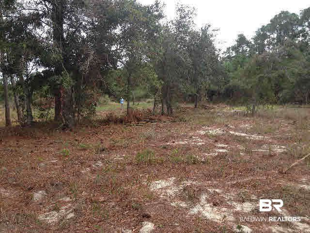 0 Plash Road Gulf Shores, AL 36542 - Photo 7 of 7