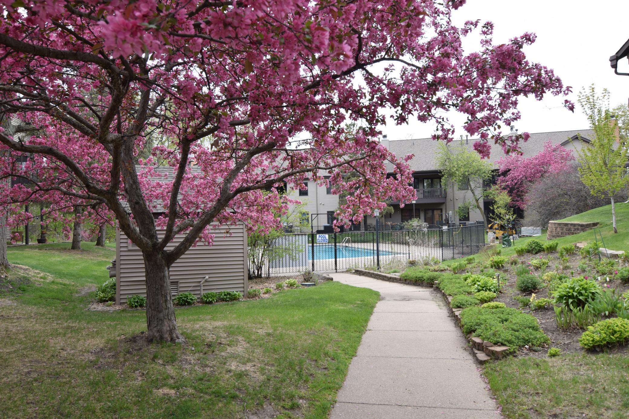 11039 Oregon Circle Bloomington, MN 55438 - Photo 30 of 32