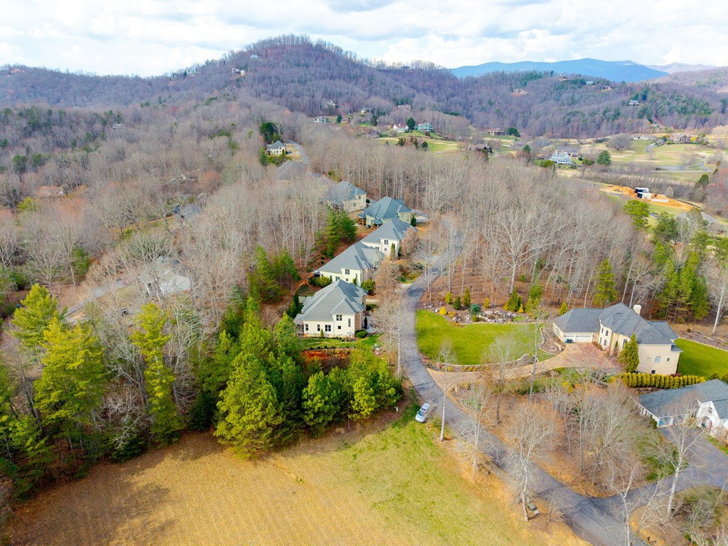 43-44 Licklog Ridge Hayesville, NC 28904 - Photo 4 of 8