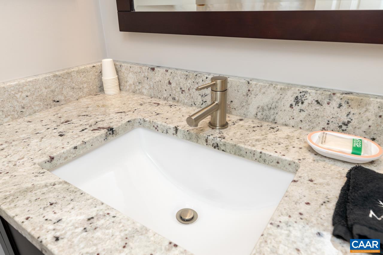 2078 Stone Ridge Roseland, VA 22967 - Photo 19 of 39 a view of bathroom sink