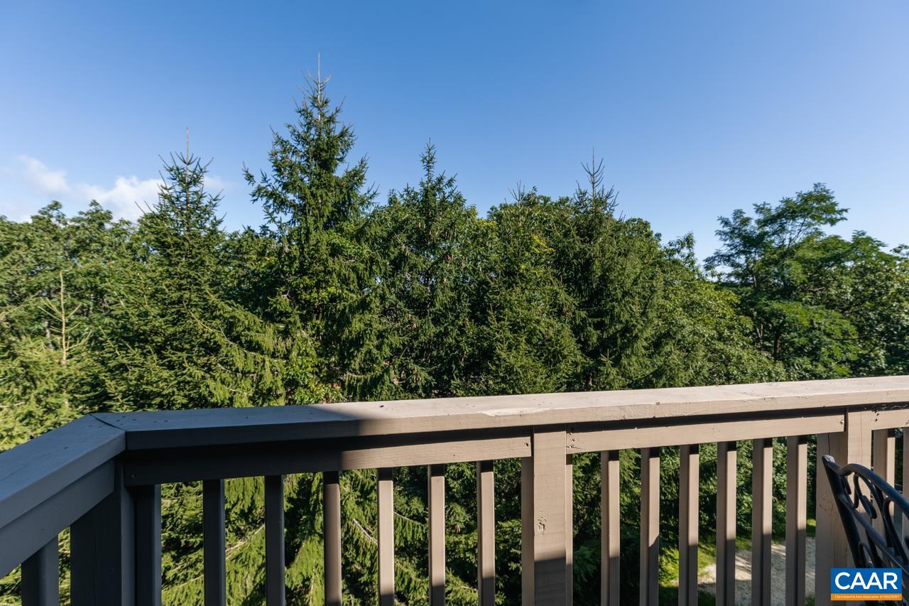 2078 Stone Ridge Roseland, VA 22967 - Photo 34 of 39 a view of a balcony with outdoor space
