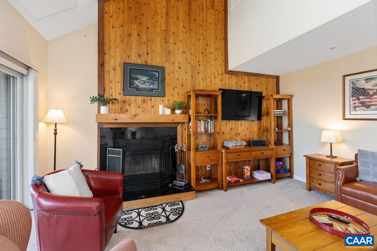 2078 Stone Ridge Roseland, VA 22967 - Photo 10 of 39 a living room with furniture a flat screen tv and a fireplace