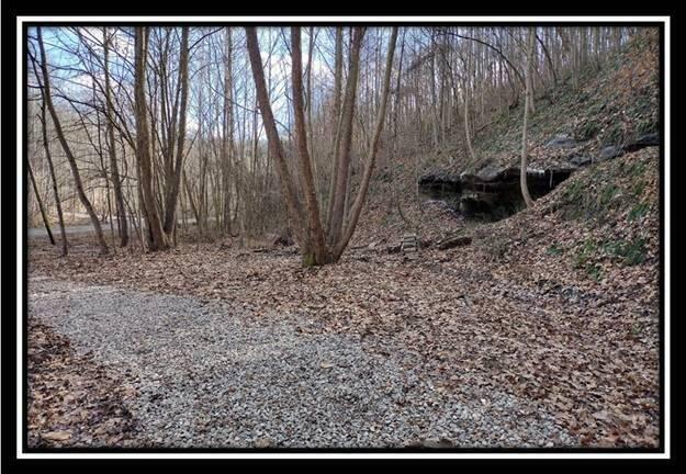 O Number Number 12 Hollow Road Wellston, OH 45692 - Photo 5 of 8 Land 5