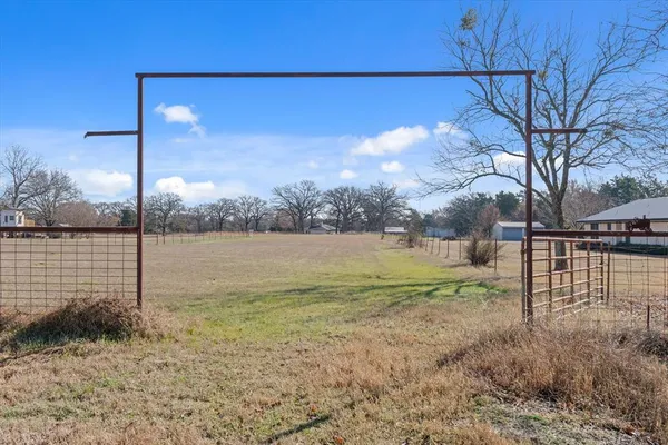 a view of a yard with a tree