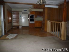 21 Circle Drive Rochester, IL 62563 - Photo 4 of 11