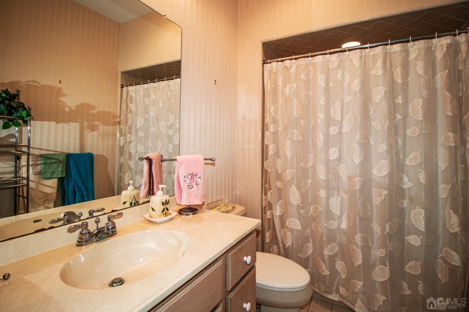 32 Harwood Road Monroe Township, NJ 08831 - Photo 22 of 34 a bathroom with a sink and a mirror