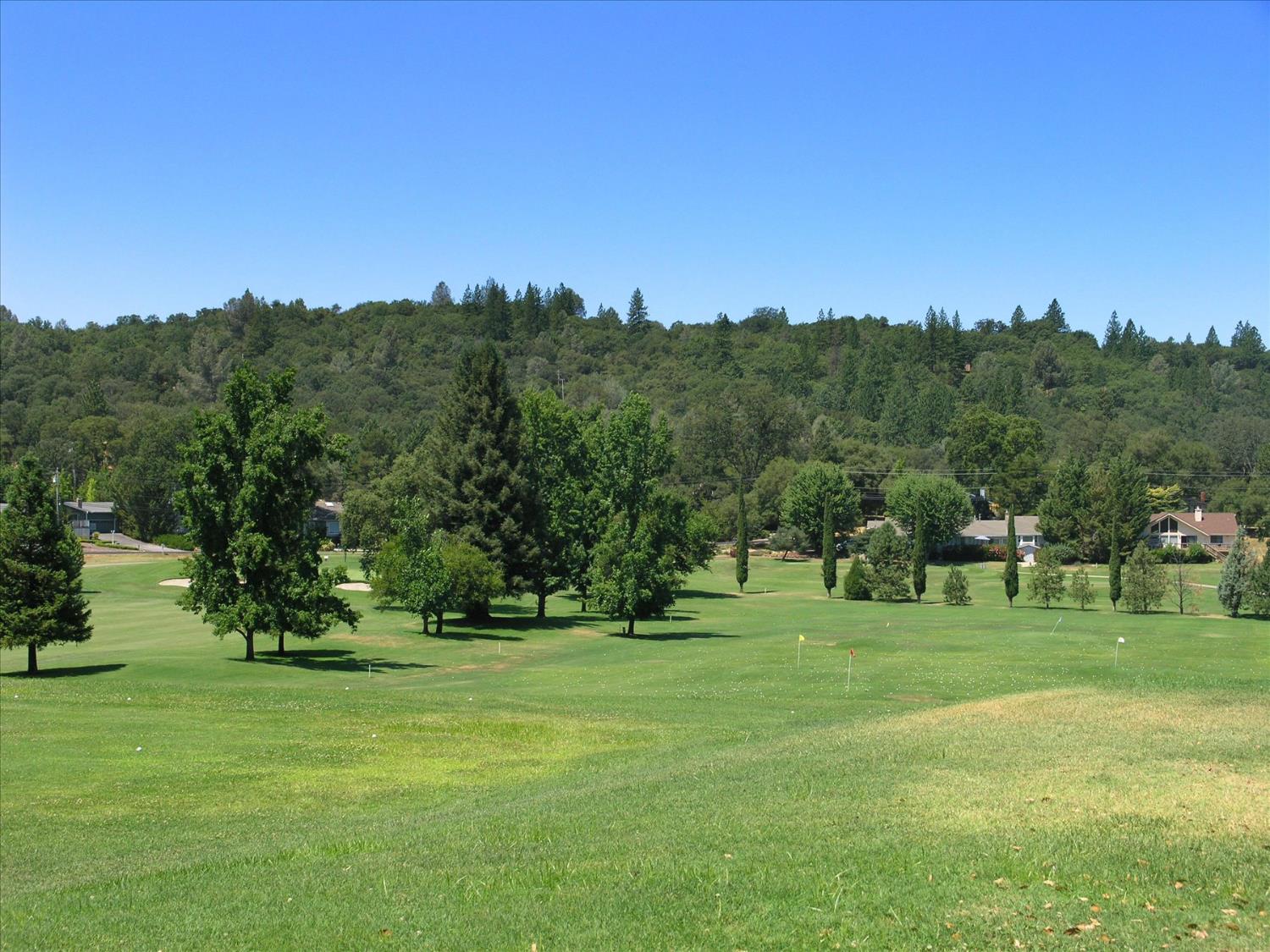 18167 Deer Run Penn Valley, CA 95946 - Photo 78 of 92