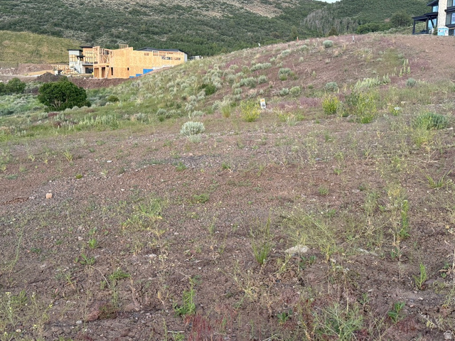 3923 East Harris Way Heber City, UT 84036 - Photo 9 of 12 Sloping terrain featuring natural vegetation and distant hillside structures