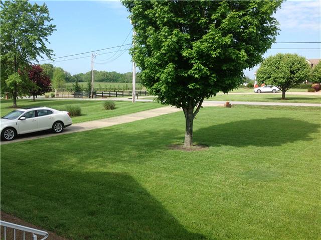 119 Biggs Road Cottontown, TN 37048 - Photo 14 of 19 Beautiful level yard