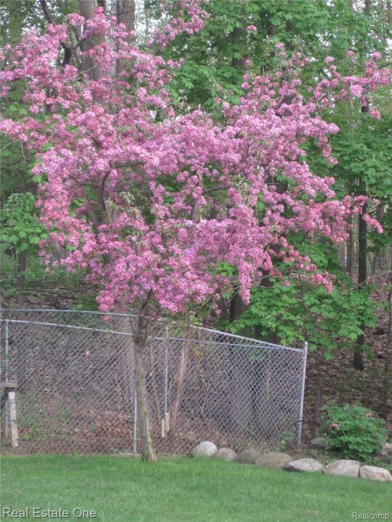 4385 Highfield Road Waterford, MI 48329 - Photo 35 of 35 backyard 4.JPG