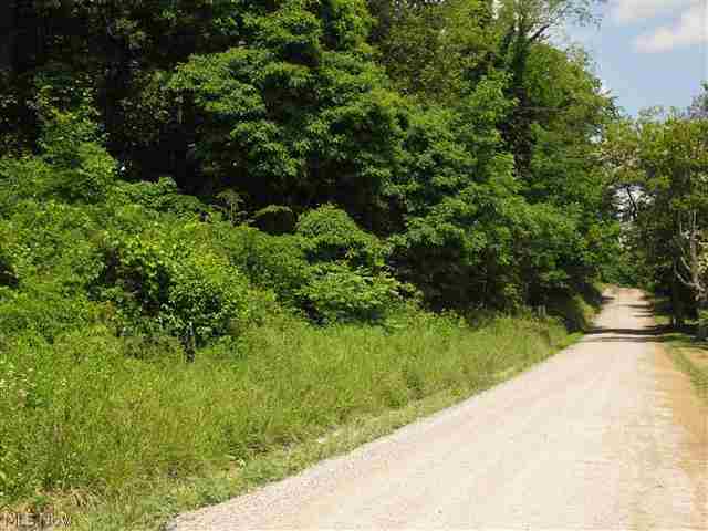 0 Johnson Road Bethesda, OH 43719 - Photo 1 of 1 Gallery Image 1
