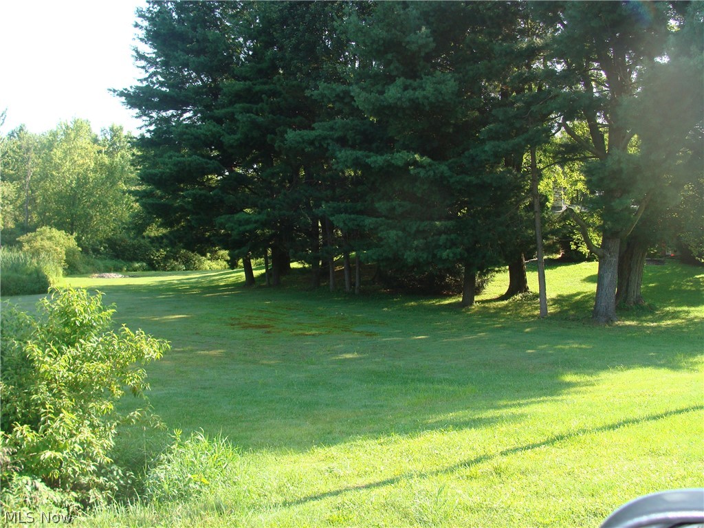 31990 Tower Road Salem, OH 44460 - Photo 24 of 24 yard view
