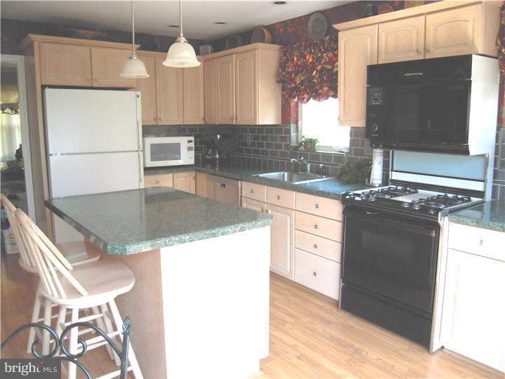 210 Church Road Cheltenham, PA 19027 - Photo 5 of 25 Kitchen
